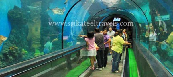 Aquarium Bangalore