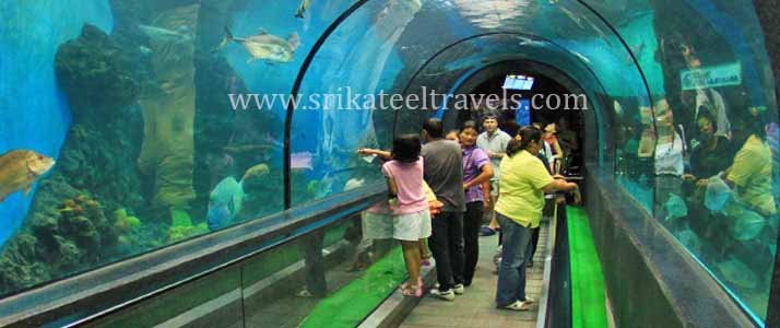 Aquarium Bangalore